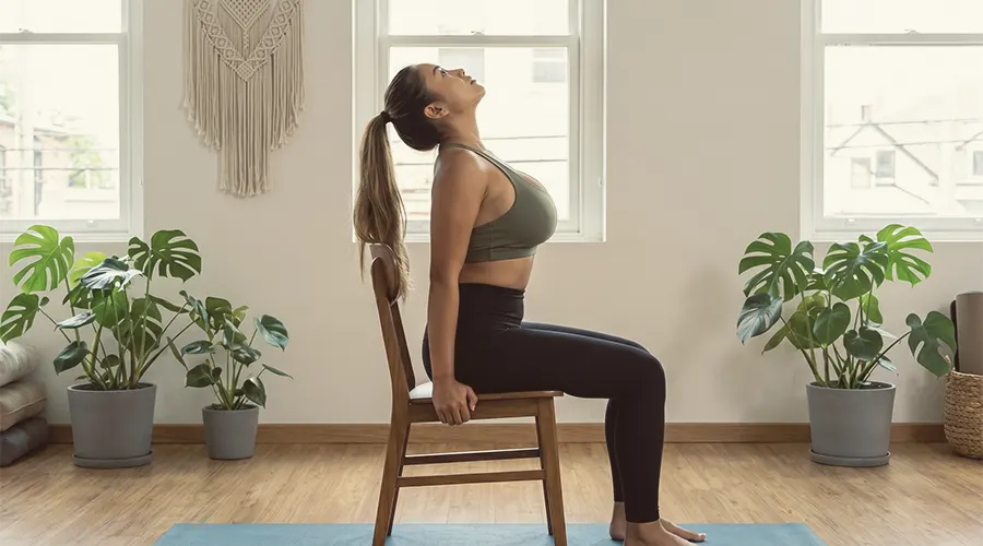 Seated Cat-Cow Stretch